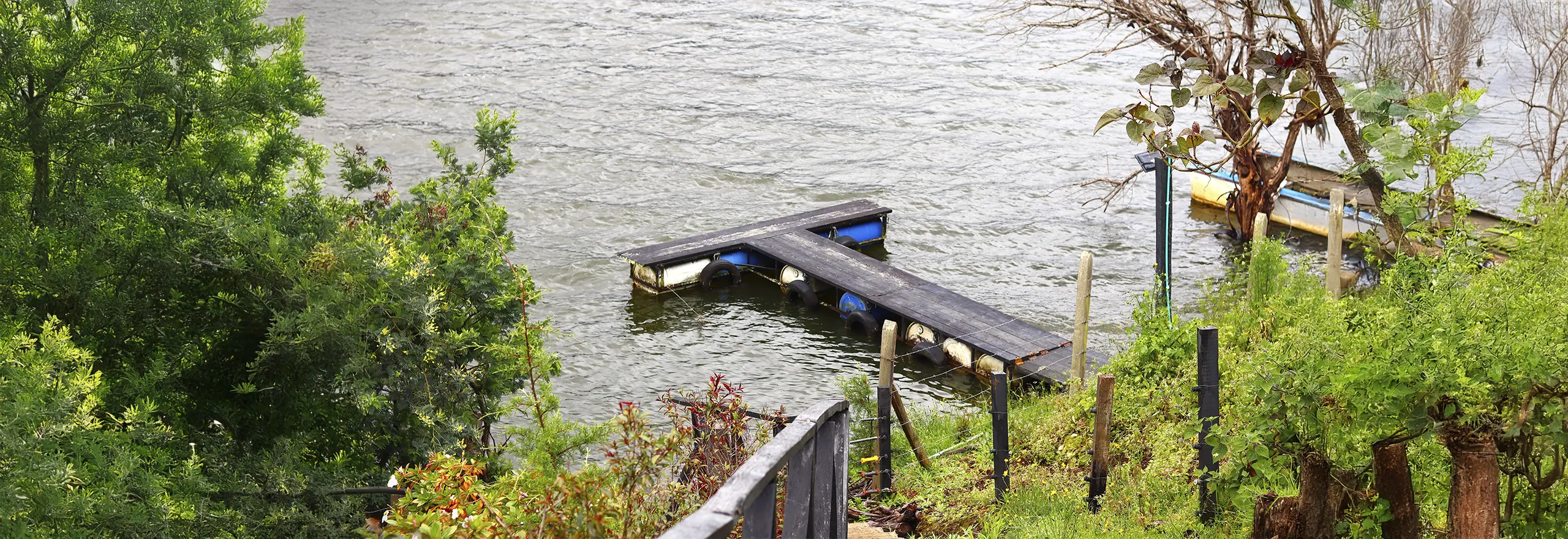muelle
