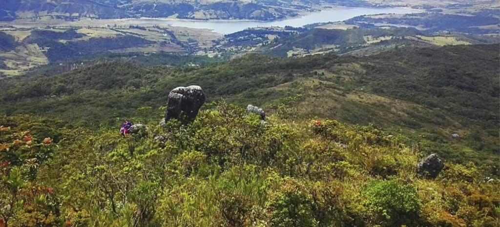 Ecoturismo: Vista desde la montaña del alto del sisga, arboles y plantas de Cundinamarca