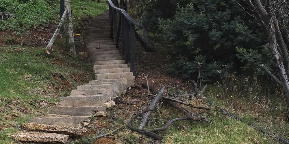 Subida con escaleras en medio de la naturaleza
