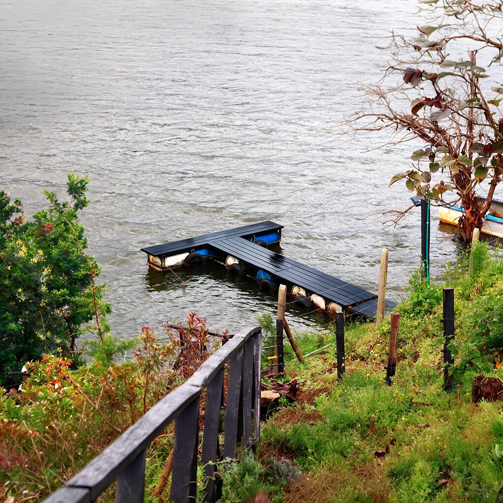 muelle